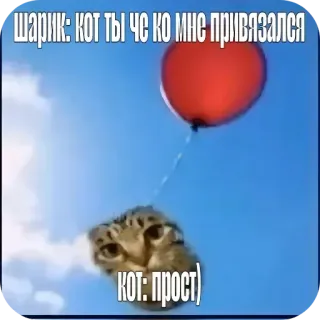 Больше стиков тут: @stikery4 telegram stickers