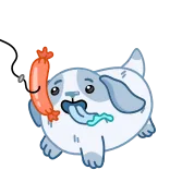 🤩 개, 소세지, 만화, 동물, 귀여운, 스티커, 웃긴 telegram sticker