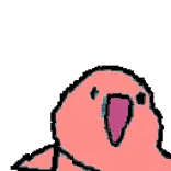🦜 vogel, schattig, roze, geanimeerd, tekening telegram sticker