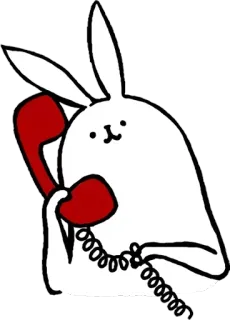 🐰 conejo, teléfono, animal, comunicación, dibujos animados, conejito telegram sticker
