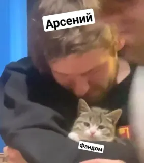 🌟 Арсений
Фандом Katze, Haustier, niedlich, Mann, Umarmung telegram sticker