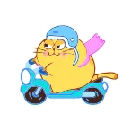 🛵 cat, scooter, helmet, animal, cartoon, cute telegram sticker