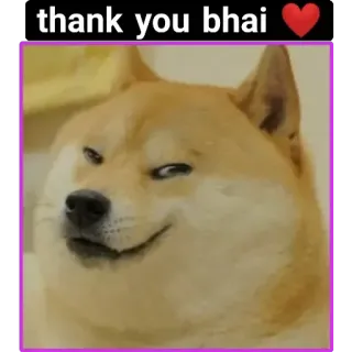 ❤️ thank you bhai собака, спасибо, мем, доге, благодарность, питомец, милый whatsapp sticker