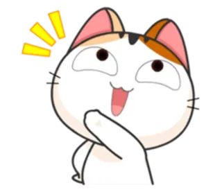🌝 chat, mignon, animal, dessin animé, autocollant, adorable whatsapp sticker