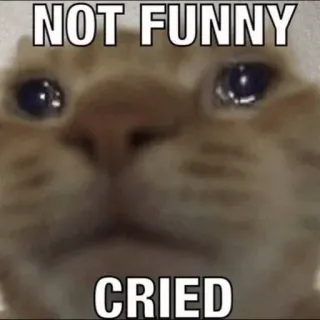 😔 NOT FUNNY
CRIED cat, crying, meme, sad, funny telegram sticker