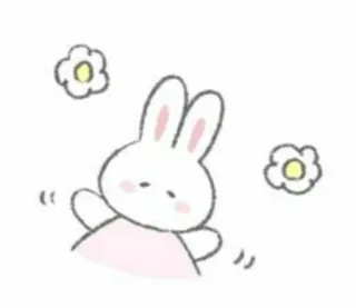 🤍 conejo, lindo, animal, flor telegram sticker