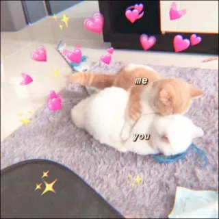 🐈 me
you kucing, cinta, hubungan, imut, sayang, hewan peliharaan, binatang telegram sticker