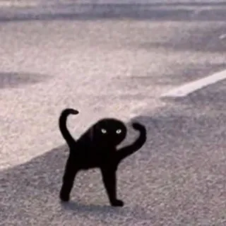 😾 猫, ミーム, 呪いの画像, 面白い, 動物, 黒猫 telegram sticker