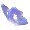🦋