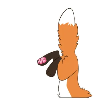 🦊 raposa, rabo, animal, fofo, fofinho whatsapp sticker