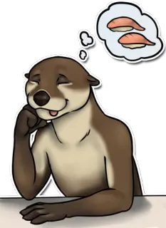 🍣 berang-berang, sushi, binatang, makanan, mimpi, lucu, kawaii whatsapp sticker