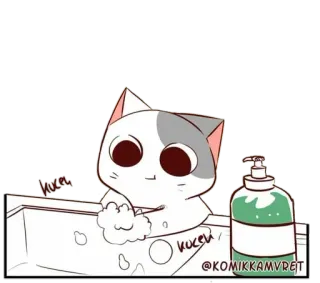 😸 whatsapp sticker