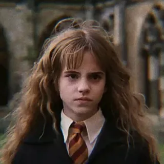 🐿 Hermione Granger Harry Potter Hermelien, Harry Potter, tovenaar, magie, personage telegram sticker