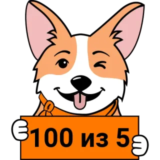 💯 100 из 5 corgi, cane, animale, adesivo, valuta telegram sticker