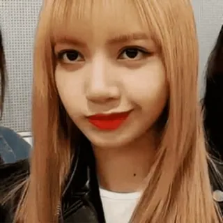 π Lisa K-pop, Zangeres, Vrouw, Persoon, Idool, Beroemdheid, Lisa, Blackpink whatsapp sticker