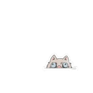👀 Katze, gucken, Tier, süß, Aufkleber telegram sticker