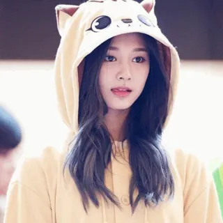 🐻 femme, sweat à capuche, oreilles de chat, portrait, fille, mignon, coréen, ado telegram sticker