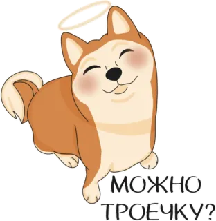 😇 МОЖНО
ТРОЕЧКУ? 개, 시바견, 후광, 귀여운, 요청 telegram sticker
