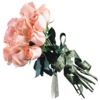 🌸 hoa, hoa hồng, bó hoa, màu hồng, quà tặng telegram sticker