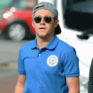 ✨ Niall Horan ไนออล ฮอแรน, One Direction, คนดัง, นักร้อง, ผู้ชาย telegram sticker