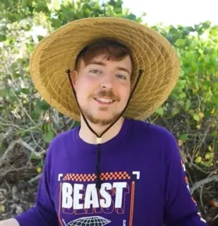 🌟 MrBeast BEAST youtuber, mrbeast, hat, portrait telegram sticker