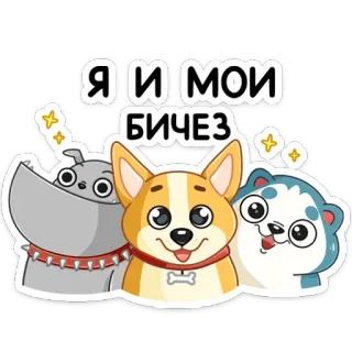 🥎 Я и мои БИЧЕЗ cão, animal, desenho animado, engraçado, amizade, texto telegram sticker
