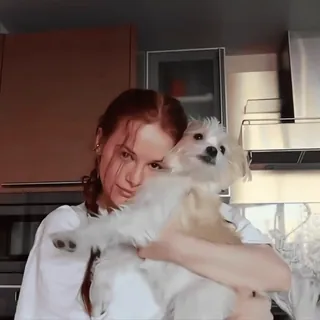 🦇 femme, chien, animal de compagnie, cuisine, intérieur, cheveux telegram sticker