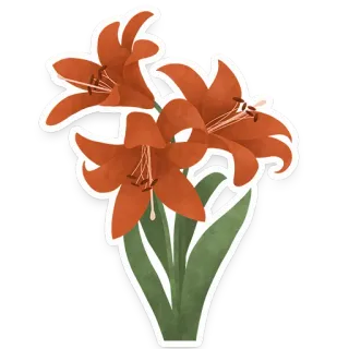 🌺 flower, lily, plant, floral, botanical telegram sticker