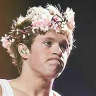 Nialler | by @badmileycyrus telegram stickers