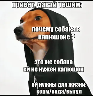 🤟 привет, давай решим:
почему собака в
капюшоне?
это же собака
ей не нужен капюшон
ей нужны для жизни:
корм/вода/выгул chien, sweat à capuche, russe, mème, texte telegram sticker