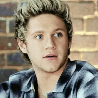 ✨ Niall Horan ไนออล ฮอแรน, วันไดเร็กชัน, นักร้อง, คนดัง, นักดนตรี, ป็อปสตาร์ telegram sticker
