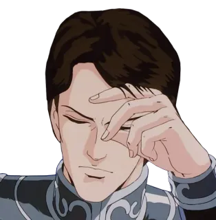 🤷 telegram sticker