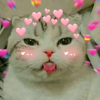 💖 gatto, cuori, carino, animale, amore, adesivo telegram sticker
