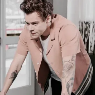 🌸 Harry Styles Harry Styles, célébrité, chanteur, tatouage, portrait telegram sticker