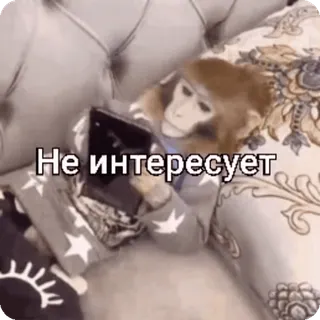 ⏭ Не интересует scimmia, annoiato, telefono, pigro, indifferente whatsapp sticker