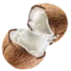 🥥
