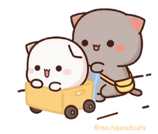 😁 고양이, 카와이, 귀여운, 복숭아, 구르는 whatsapp sticker
