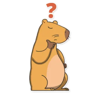 🤔 капибара, животное, млекопитающее, вопрос, думает, милый whatsapp sticker