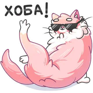 😎 кот, солнцезащитные очки, средний палец, животное, милый, мультфильм, наклейка whatsapp sticker