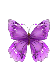 🐝 butterfly, purple, nature, insect, wings whatsapp sticker