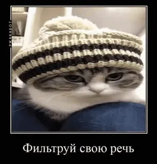 Демотиваторы telegram stickers