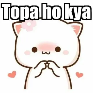 ⚜ Topa ho kya mignon, chat, kawaii, pêche, drôle, mème whatsapp sticker