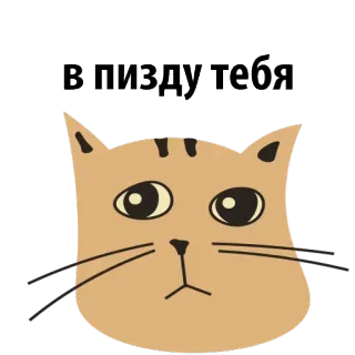 😖 В пизду тебе gato, ofensivo, russo, adesivo telegram sticker