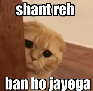 👀 shant reh
ban ho jayega gato, meme, gracioso, animal telegram sticker