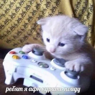 🤓 ребят я афк курить пойду Katze, Kätzchen, Gaming, AFK, Rauchen, Gamer, Controller telegram sticker