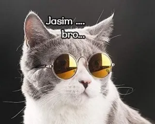 🤝 Jasmin .... bro... kucing, kacamata hitam, lucu, hewan peliharaan, binatang, meme telegram sticker
