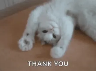 🌟 THANK YOU cat, thank you, animal, gratitude, cute, pet telegram sticker