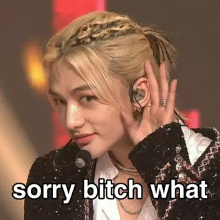 😄 sorry bitch what Meme, Reaktion, Ausdruck, Popkultur, Hyunjin whatsapp sticker