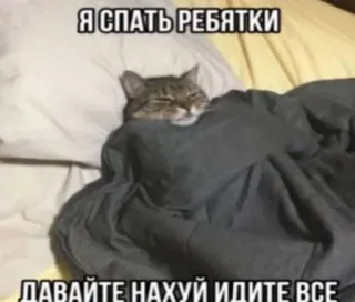 😎 Я СПАТЬ РЕБЯТКИ
ДАВАЙТЕ НАХУЙ ИДИТЕ ВСЕ 猫, 睡觉, 床, 冒犯, 俄语, 毯子 telegram sticker