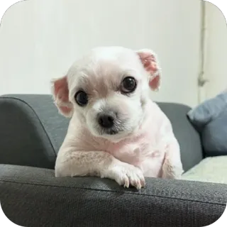 🤨 whatsapp sticker